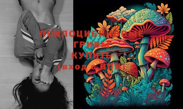 МДПВ Вязники