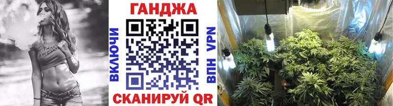 Купить  Курчатов  Канабис сатива 